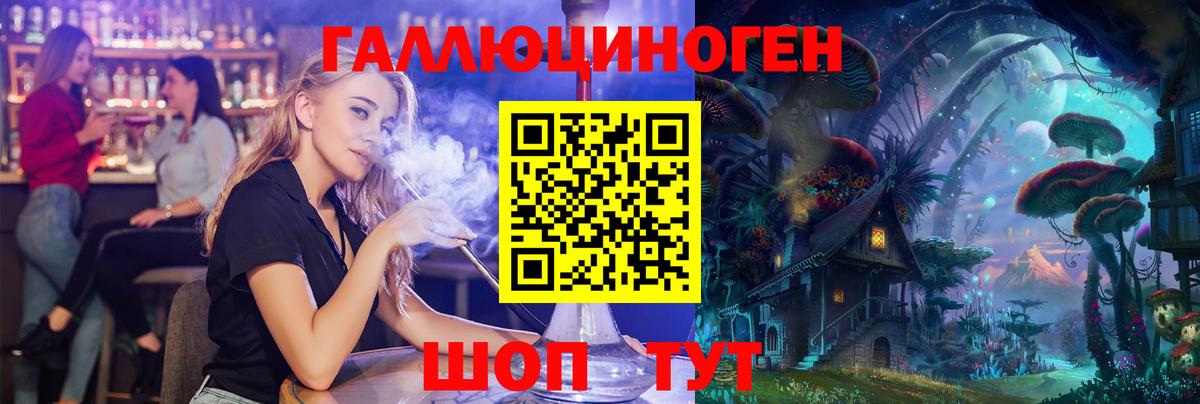 Псилоцибиновые грибы мицелий Сокол