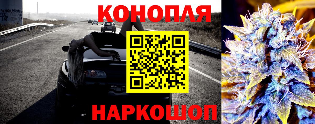 Шишки марихуана план  Вход с VPN  Сокол  МАРИХУАНА индика  Бошки марихуана Bruce Banner 